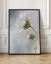 Load image into Gallery viewer, Heavenly Cosmos
