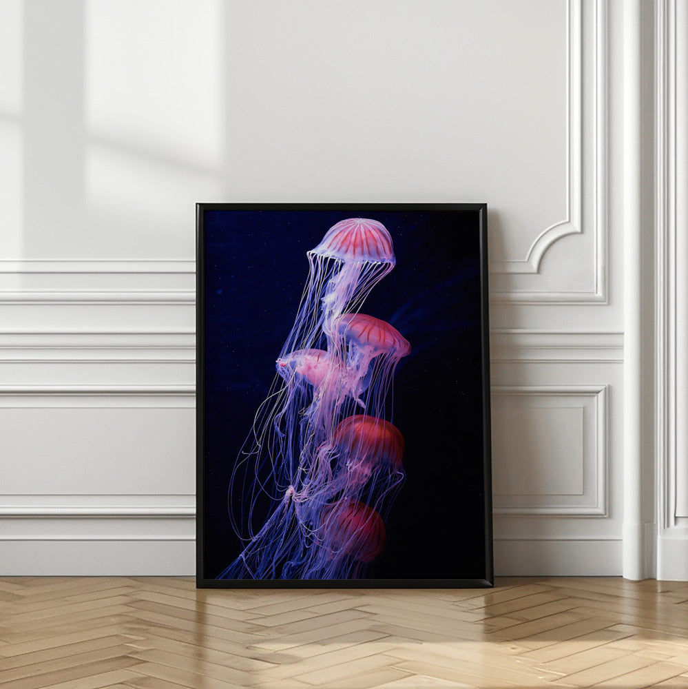 Entangled Jelly Fish Wall Art Print | Luxury Bathroom Print