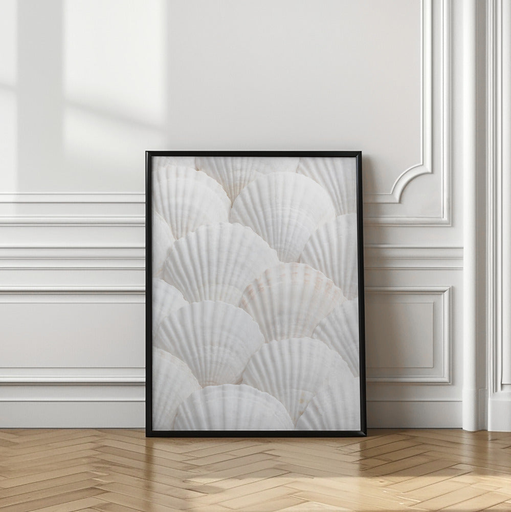 Shells_3