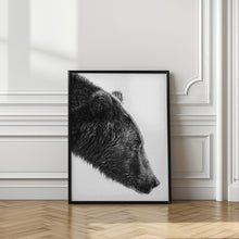 Load image into Gallery viewer, The Salmon Catcher
