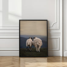 Load image into Gallery viewer, Yorkshire Love | County Sheep Wall Art Print
