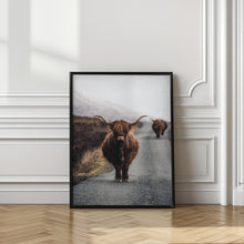 Load image into Gallery viewer, Highland Cow Photographic Art | Scotland Art
