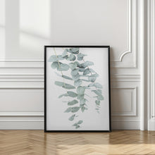Load image into Gallery viewer, Eucalyptus I
