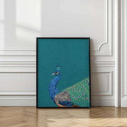 Vibrant Peacock Profile