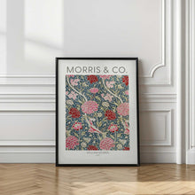 Load image into Gallery viewer, Cray
