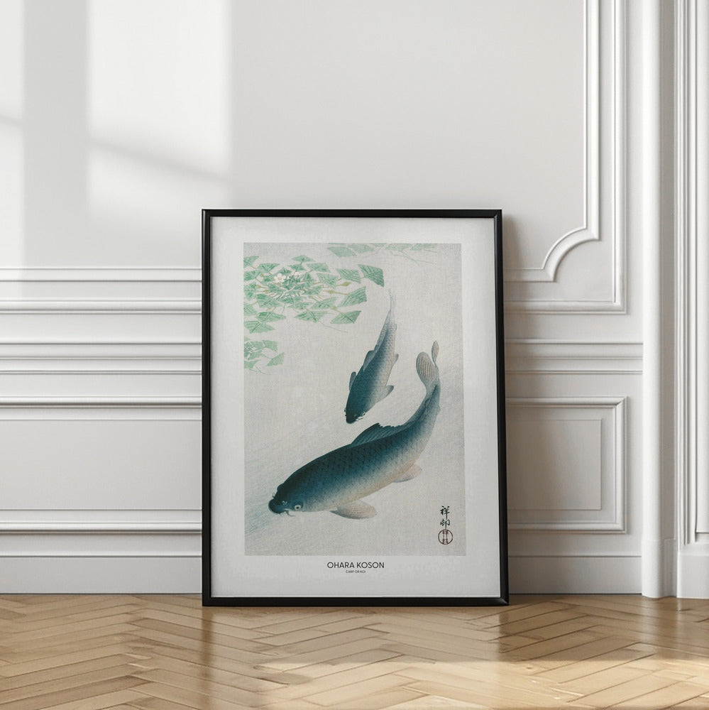 Carp Or Koi
