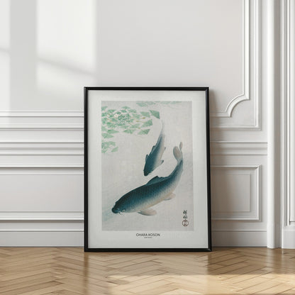 Carp Or Koi