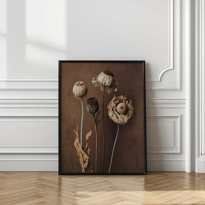 Faded Elegance