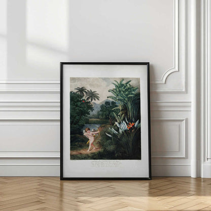 Cupid Inspiring Plants with Love from The Temple of Flora (1807)