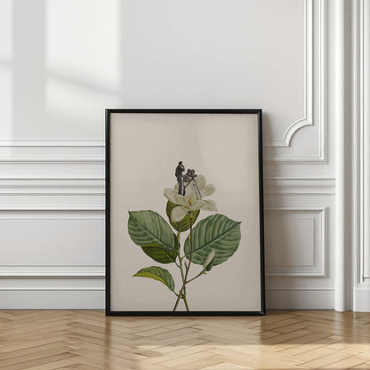 Botanical vintage cameraman