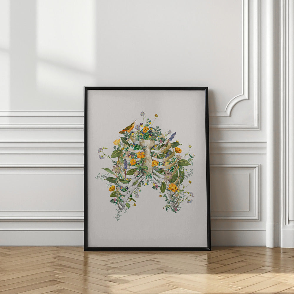 Floral thorax