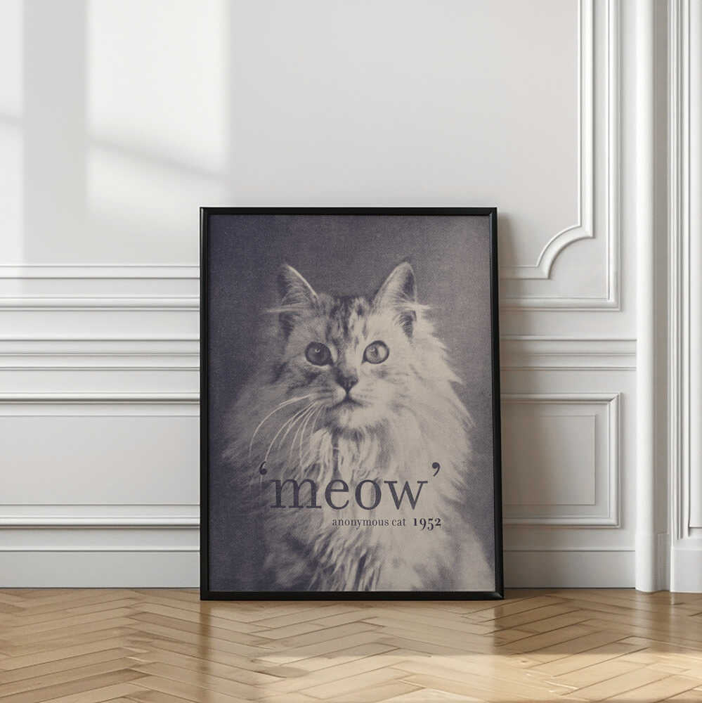 Famous Quote Cat