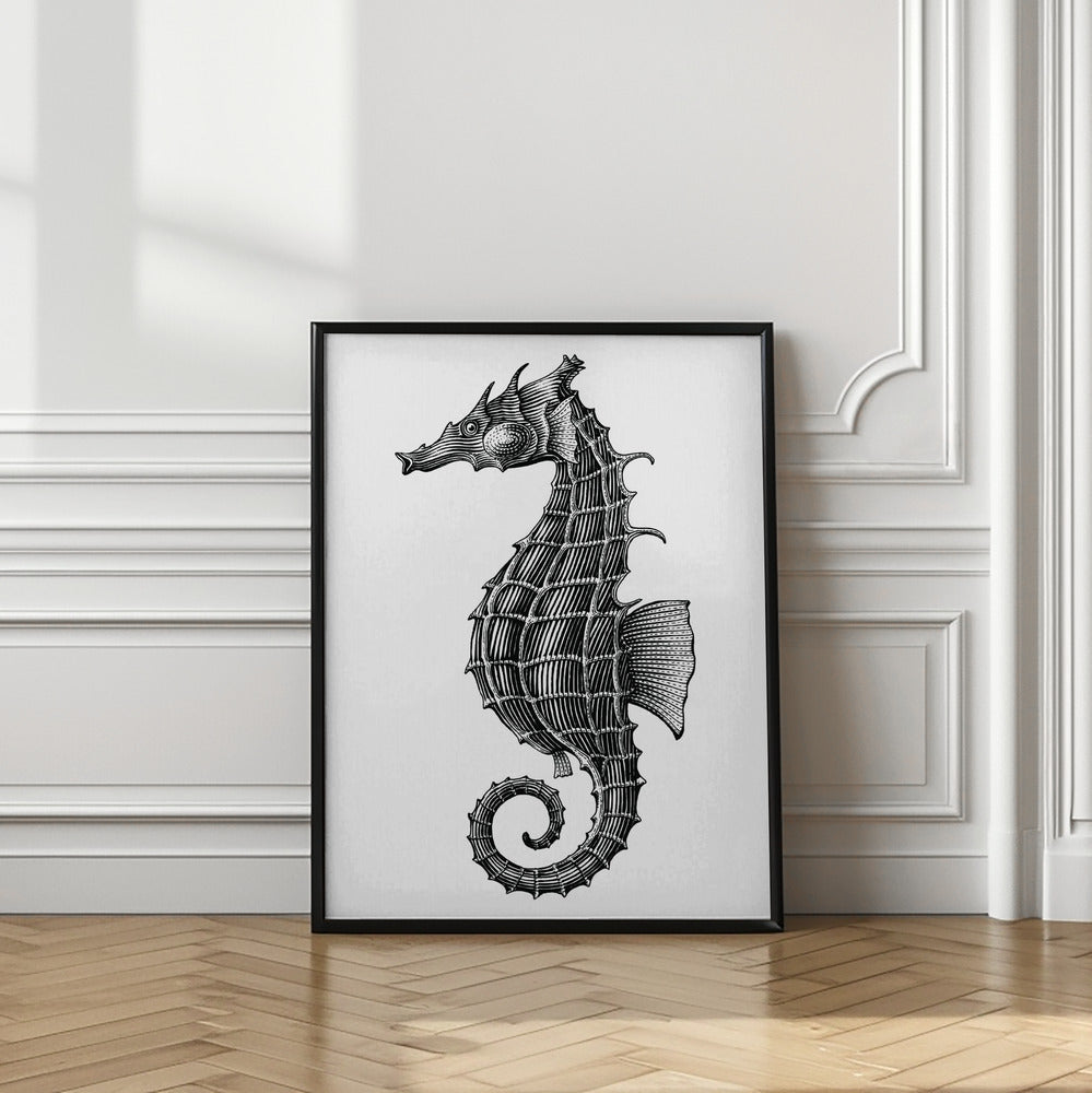 Seahorse