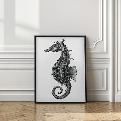 Seahorse
