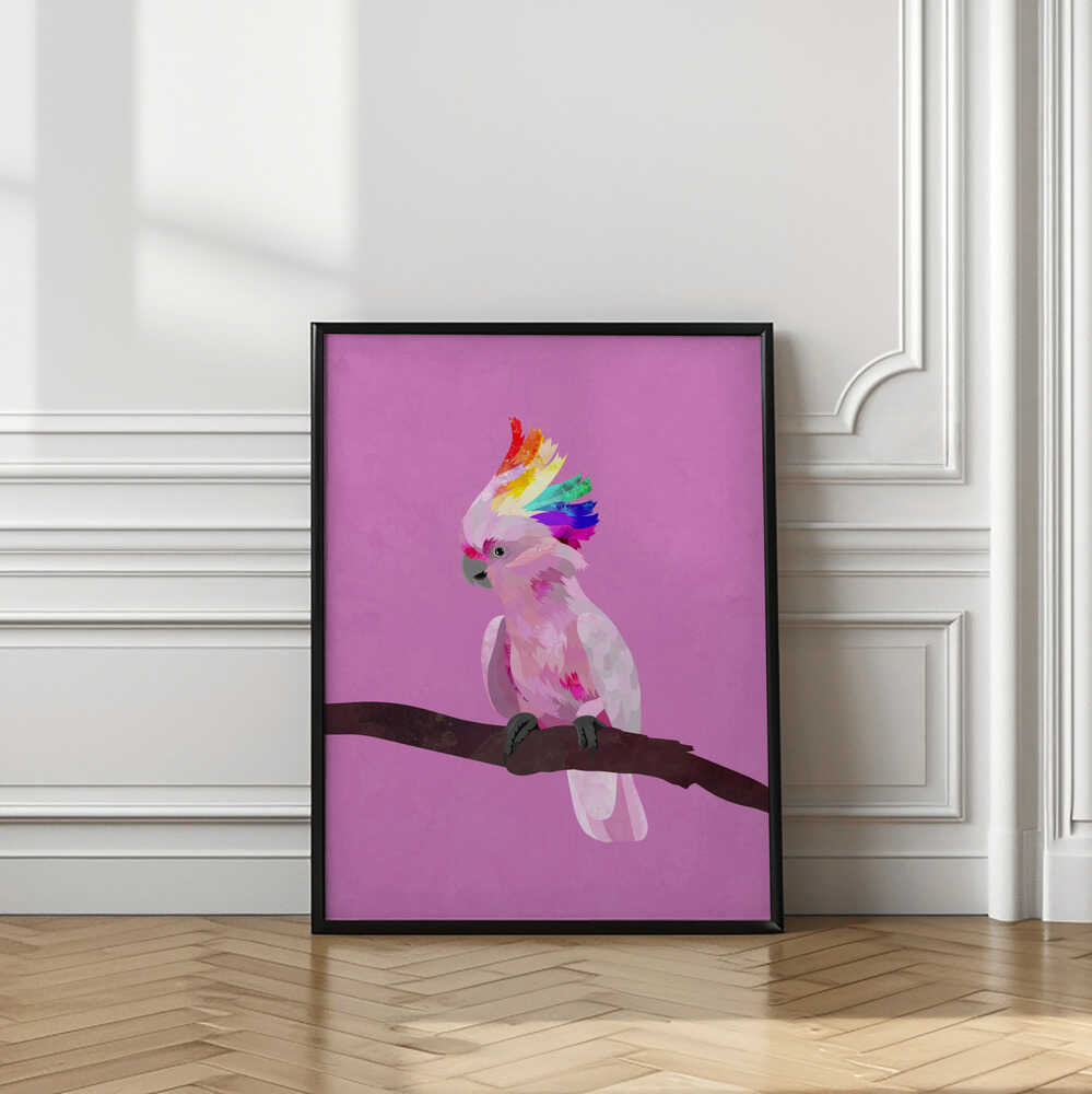 Rainbow Crest Cockatoo