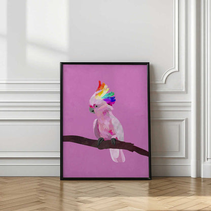 Rainbow Crest Cockatoo