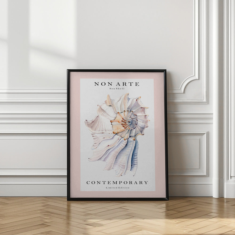 Non Arte Sea Shell no.1