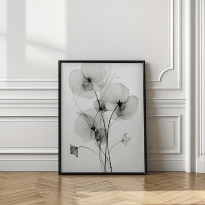 Transparent Botanic No1 | Black and white floral wall art