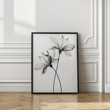 Load image into Gallery viewer, Transparent Botanic No 6 |Black and white floral wall art
