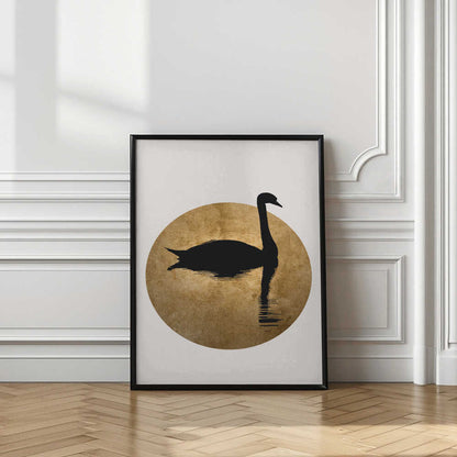 The Swan Gold