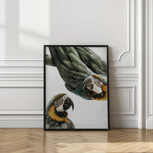 Load image into Gallery viewer, Vibrant Parrot Duo | Bird wall art
