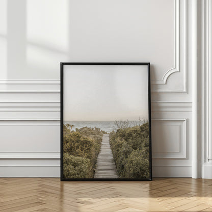 Boardwalk