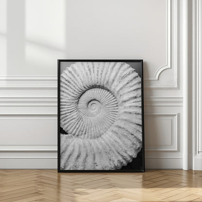 Ancient Spiral Dreams