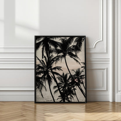 Tropical Twilight