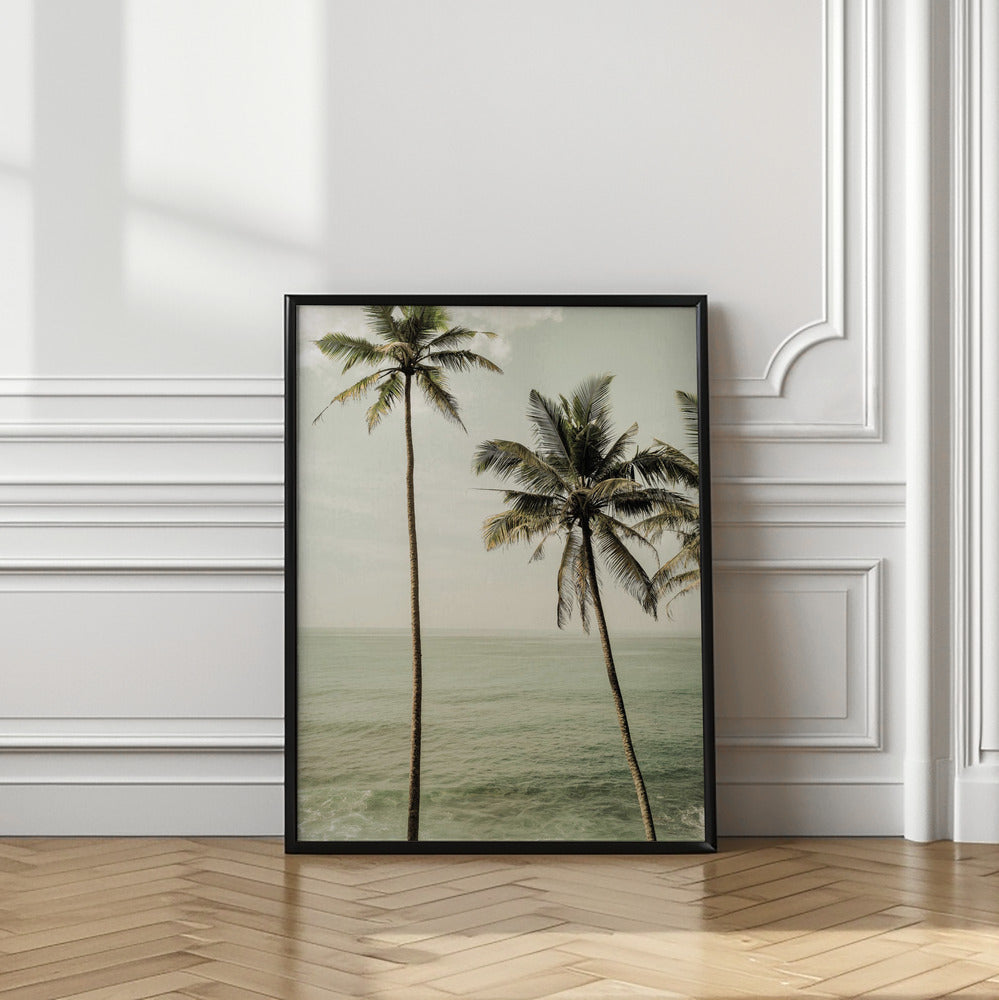 Sea Breeze