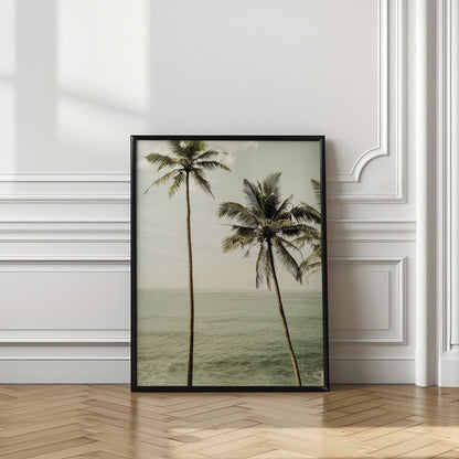 Sea Breeze