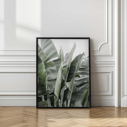 Banana Leaf Garden
