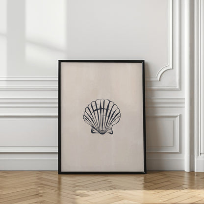 Seashell