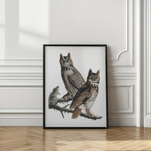 Load image into Gallery viewer, Great Horned Owl From Birds of America (1827)
