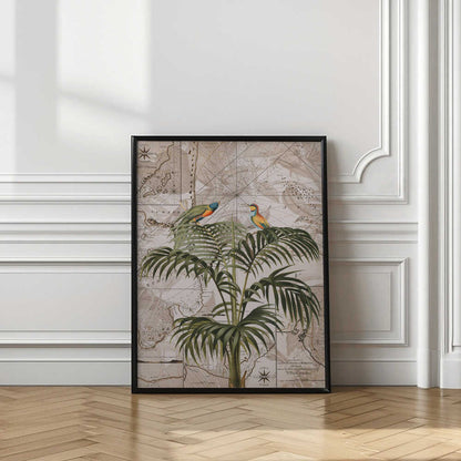Tropical Birds Vintage Map