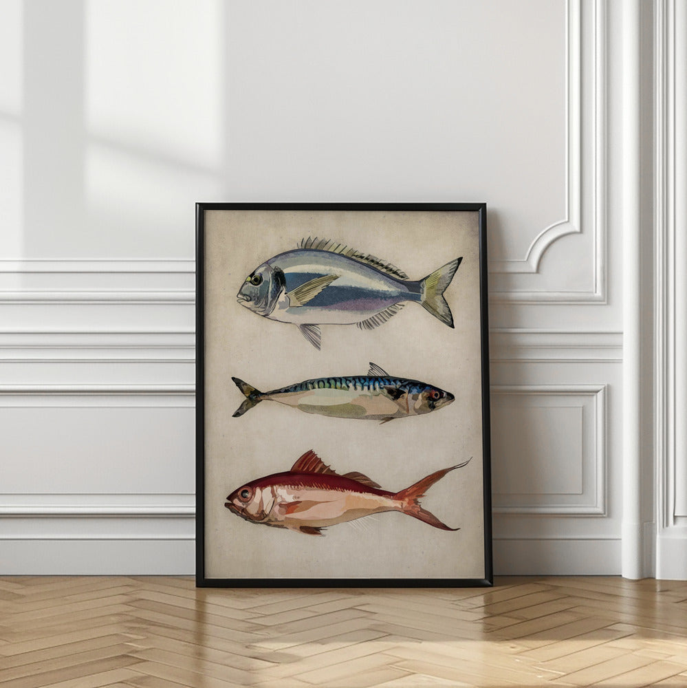 Trio of Ocean Life