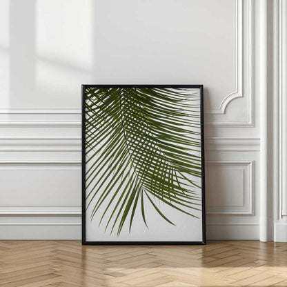 Lush Green Palm Leaf