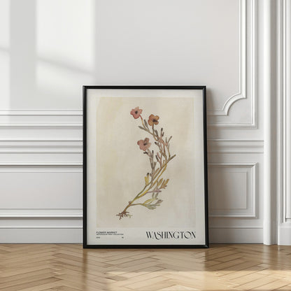 Watercolor print collection. Flower market - Washington