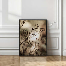 Load image into Gallery viewer, Autumn Lights
