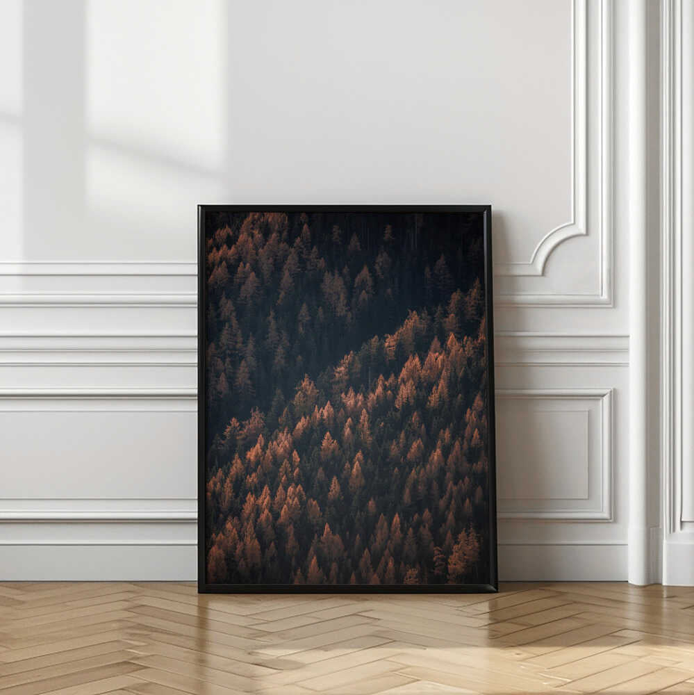 Autumn Woods 2
