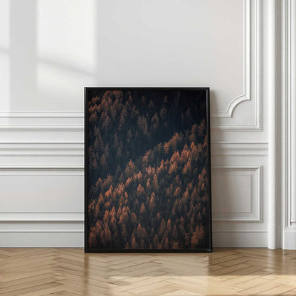 Autumn Woods 2