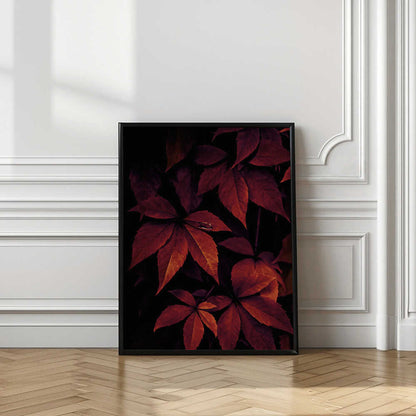 Dark Leaves 7X
