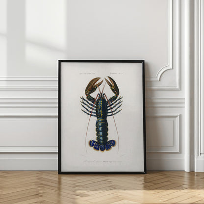 Crimson Crawfish