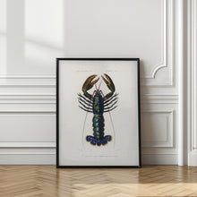 Load image into Gallery viewer, Crimson Crawfish

