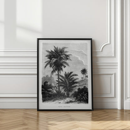 Vintage Palm Tree Drawing V
