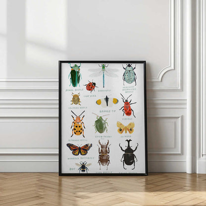 Bugs