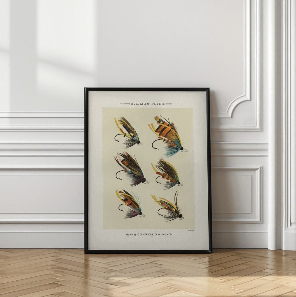 Salmon Fliee 1892