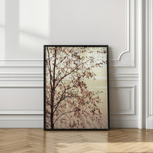 Load image into Gallery viewer, Morning brilliance
