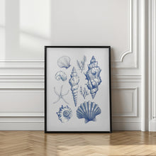 Load image into Gallery viewer, Shell Collage
