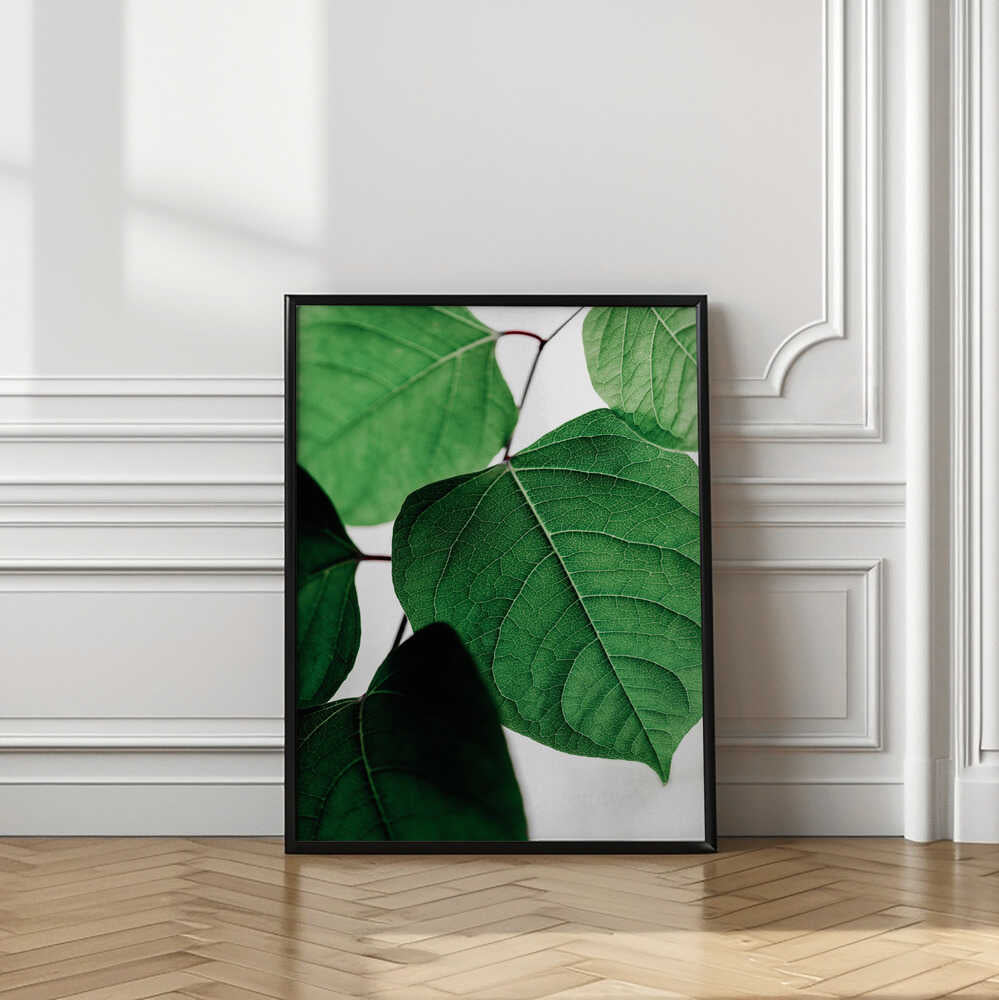 Fresh Leaf Details