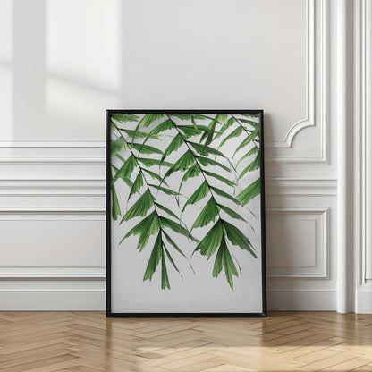 Tropical Palm Leaves